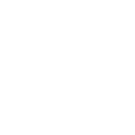 team (2)